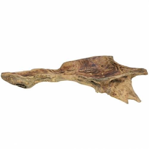 Floristik24 Burl wood bowl flamed 70cm x 27cm H12cm