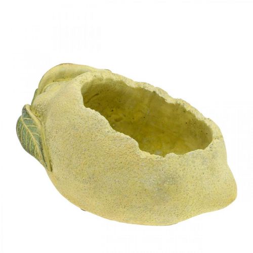 Floristik24 Mediterranean concrete bowl, decorative lemon, planter, planter L18.5cm