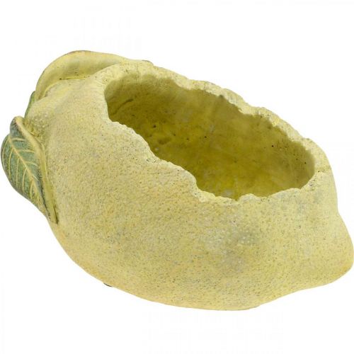 Floristik24 Planter bowl, lemon for planting, Mediterranean concrete decoration L22cm