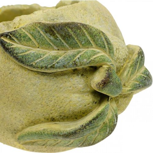 Floristik24 Mediterranean concrete bowl, decorative lemon, planter, planter L18.5cm