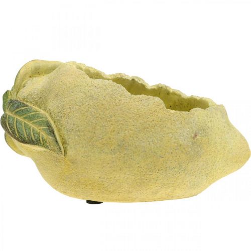Floristik24 Mediterranean concrete bowl, decorative lemon, planter, planter L18.5cm
