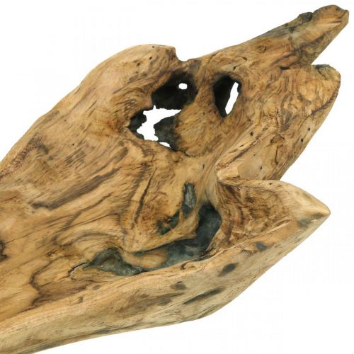 Floristik24 Decorative bowl Paulownia wood, flower tray, wooden vessel L58cm H7–8cm