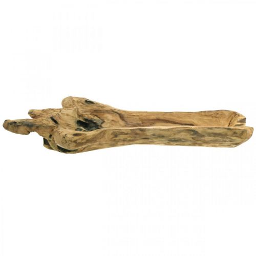 Floristik24 Decorative bowl Paulownia wood, flower tray, wooden vessel L58cm H7–8cm