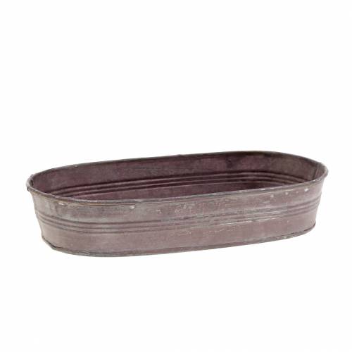 Floristik24 Decorative bowl zinc bowl purple 23cm x 11cm H4.5cm
