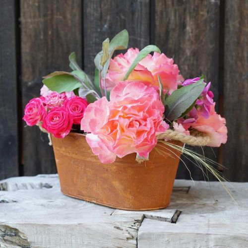 Product Metal bowl with handles, autumn decoration, planter with patina L22cm H11cm