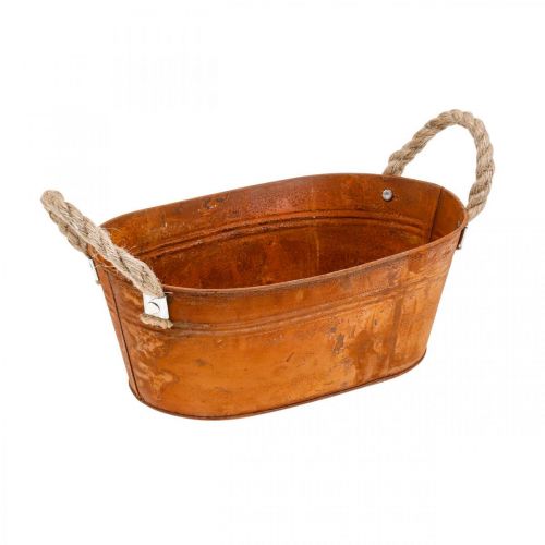 Floristik24 Plant pot with handles, herb bowl, autumn decoration, patina L28cm H11cm