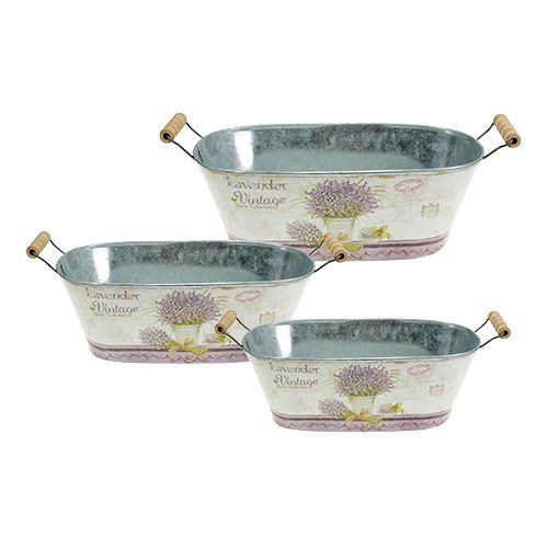 Floristik24 Decorative bowl with lavender motif 3-set