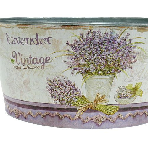 Floristik24 Planting bowl 3-set round lavender Ø17-23cm