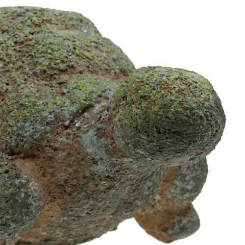 Floristik24 Garden figure turtle mossed 30cm x 18cm H15cm