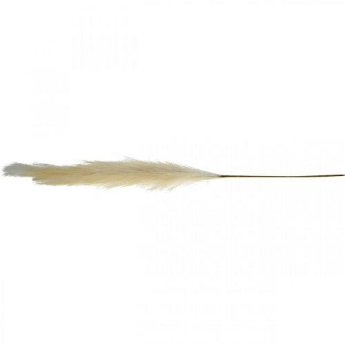 Floristik24 Feather Grass Cream Chinese Reed Artificial Dry Grass 100cm 3pcs