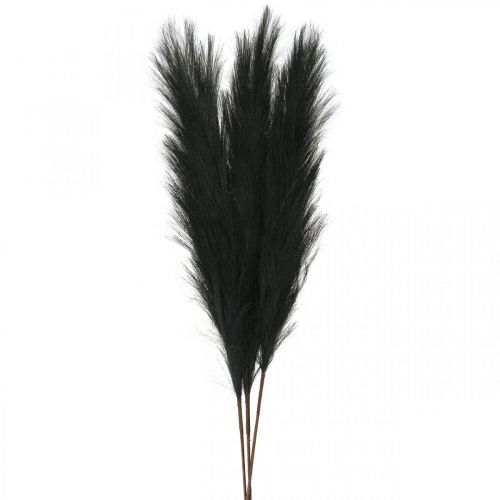 Floristik24 Feather Grass Black Chinese Reed Artificial Dry Grass 100cm 3pcs