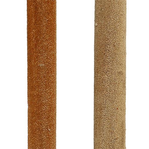 Product Reed Cob Mix Natural Decorative Reed 70cm 100 Pcs