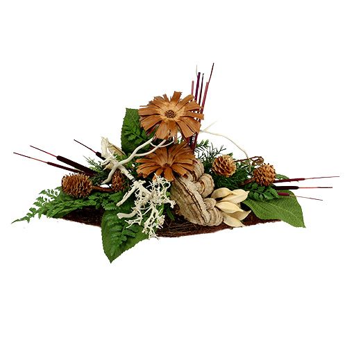 Product Reed Cob Mix Natural Decorative Reed 70cm 100 Pcs