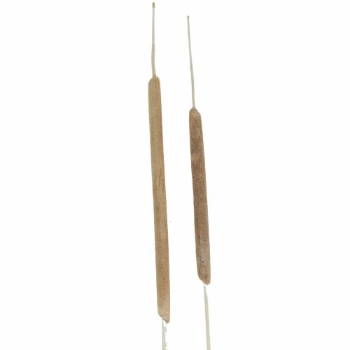 Reed cob mix natural, white washed 100 pcs