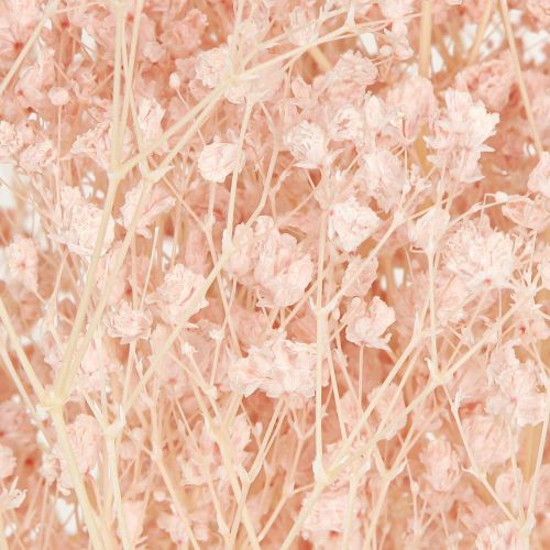 Product Gypsophila Decoration Orange Dried Grasses Peach 65-70cm 100g