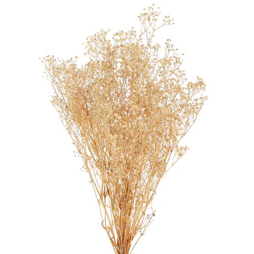 Floristik24 Gypsophila paniculate white flowers 50cm 55g