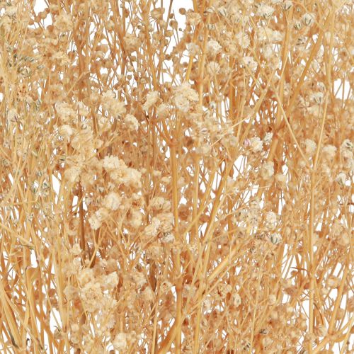 Product Gypsophila paniculate white flowers 50cm 55g