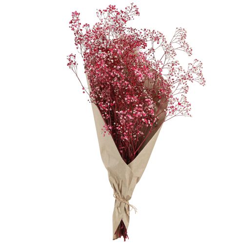 Product Gypsophila paniculate in Berry L50cm 55g