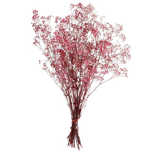 Product Gypsophila paniculate in Berry L50cm 55g