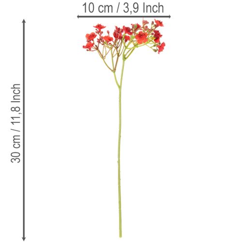 Artificial Red Baby’s Breath Bouquet 30cm Set of 10

```html
<h2>Artificial Red Baby’s Breath Bouquet for Home Decoration</h2>

<p>
This set of 10 artificial red Baby’s Breath stems is perfect for adding a vibrant pop of colour to your home. Each stem is  | Floristik24.co.uk