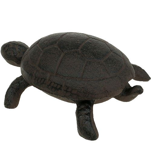 Floristik24 Keyhole Turtle Brown 11cm x 8cm x 4cm