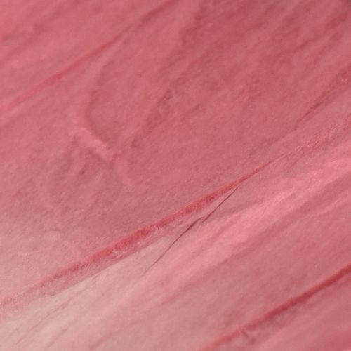 Product Large Hanging Butterfly Decoration, Elegant Wall Decoration, 50cm, 2 Pieces