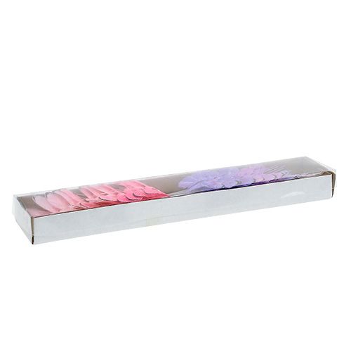 Floristik24 Butterfly 5cm pink-purple sort. 24st