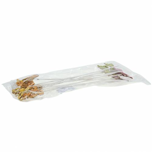Floristik24 Flower studs butterfly wood 7x5.5cm 12pcs assorted