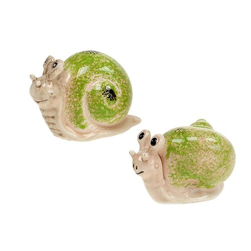 Floristik24 Decorative figure snail cream-green 5cm 6pcs