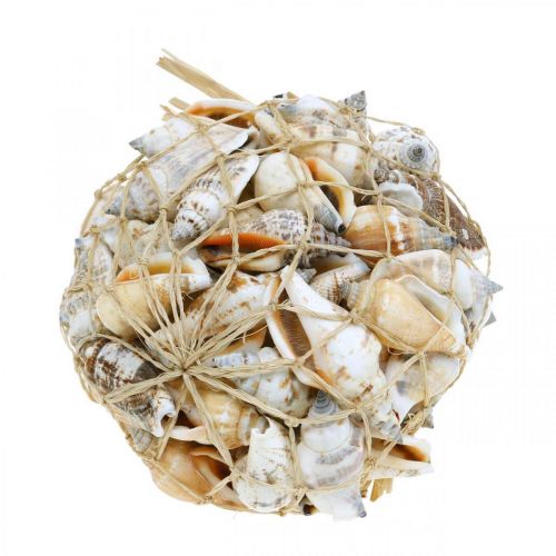 Product Deco snail shells empty in bast net sea snails 400g