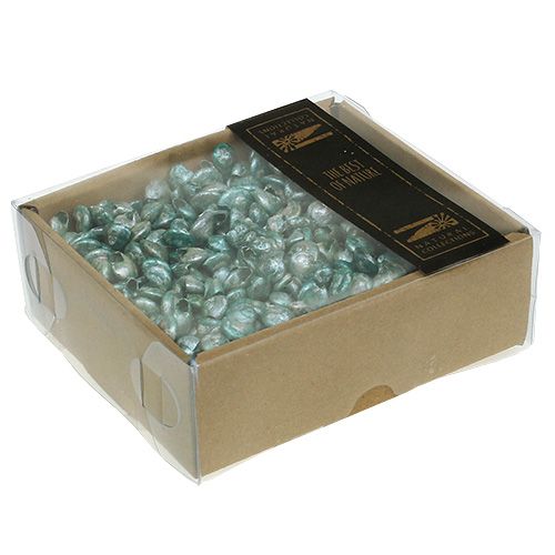 Floristik24 Snail shell blue-green 500g
