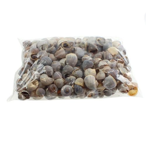 Product Snail shells nature 1kg