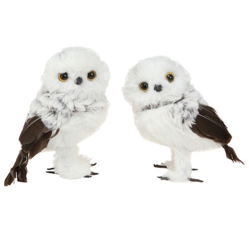 Floristik24 Snowy Owl Decoration Figure Owls Pair White Brown H12cm 4 Pcs
