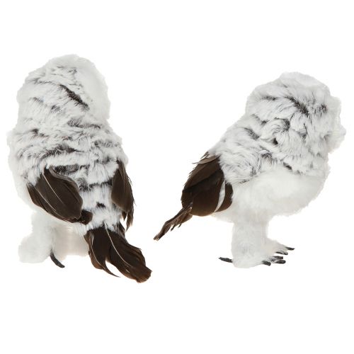 Product Snowy Owl Decoration Figure Owls Pair White Brown H12cm 4 Pcs