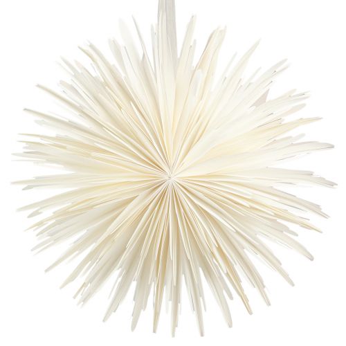 Floristik24 Snowflake Paper for Hanging Large Star White Ø50cm