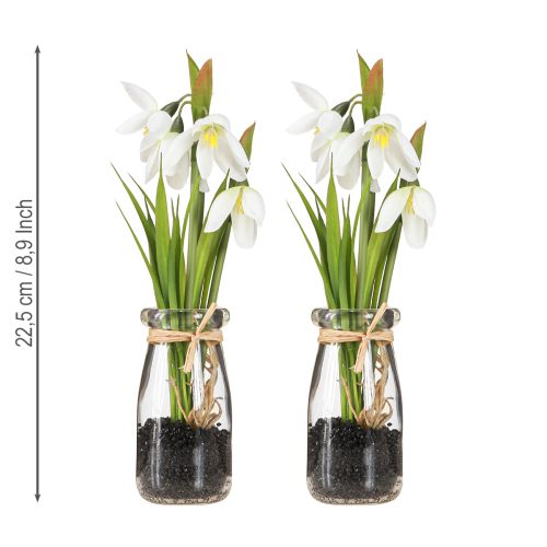 Product Snowdrops artificial in glass artificial flowers white 22.5cm 2pcs