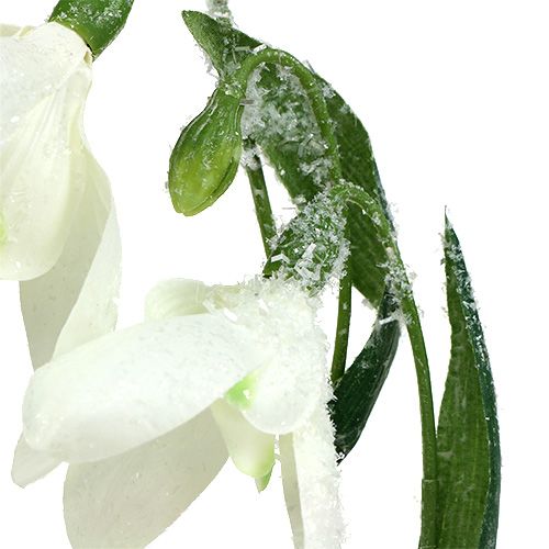 Floristik24 Snowdrops L48cm covered with snow