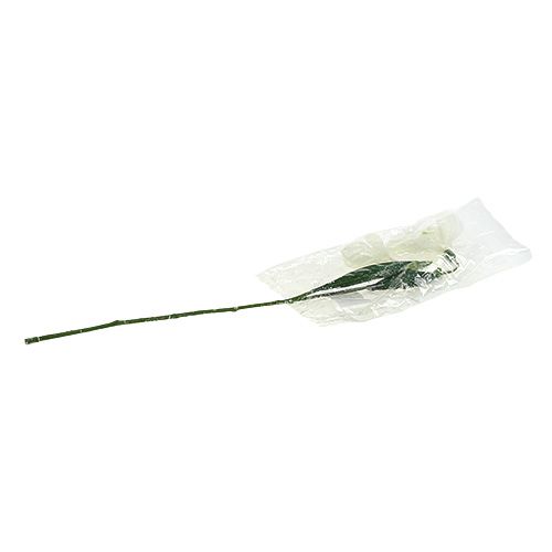 Floristik24 Snowdrops L48cm covered with snow