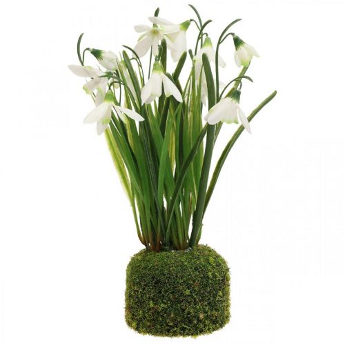 Floristik24 Artificial snowdrop, artificial snowdrop flower 25cm