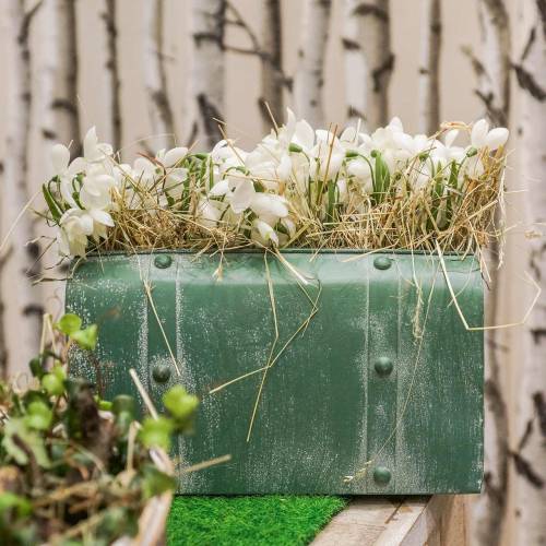 Floristik24 Artificial snowdrops white 26.5cm 6pcs