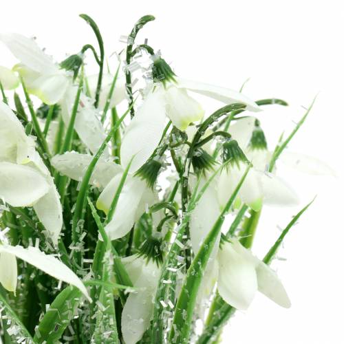 Floristik24 Snowdrops in a frosted pot 25cm