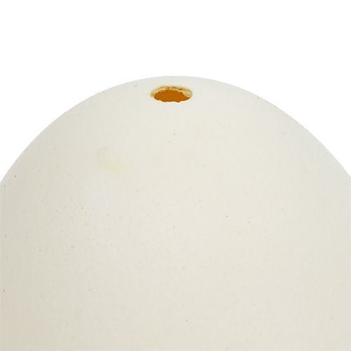 Floristik24 Swan eggs 9cm cream-white 6pcs