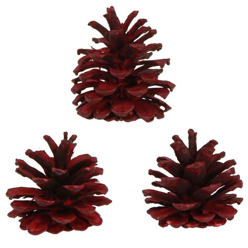Product Black pine cones Bordeaux decorative cones red 6-8cm 6 pcs