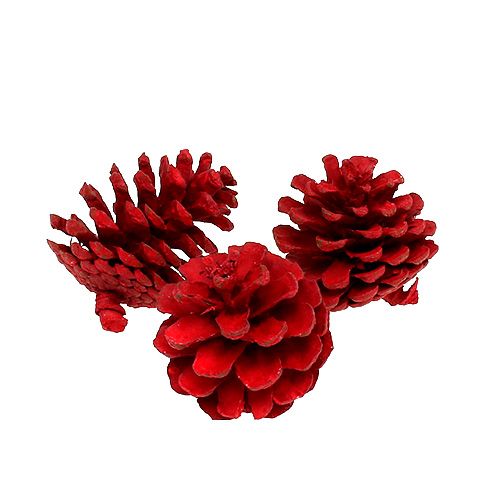 Floristik24 Black pine cones red 50pcs