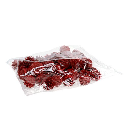 Floristik24 Black pine cones red 50 pcs