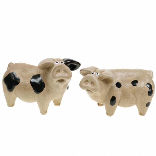 Floristik24 Pig spotted ceramic 11cm set of 2