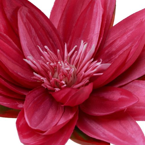 Product Floating water lily artificial table decoration fuchsia Ø15cm 2pcs
