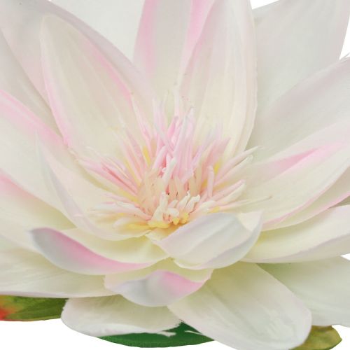 Product Floating water lilies artificial table decoration white, pink Ø15cm 2pcs