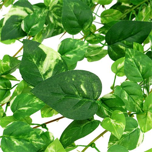 Floristik24 Scindapsus tendril artificial 90cm