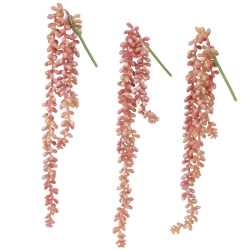 Product Sedum 'Rubin' hanging plant - decorative, easy-care succulent 43cm 3pcs.